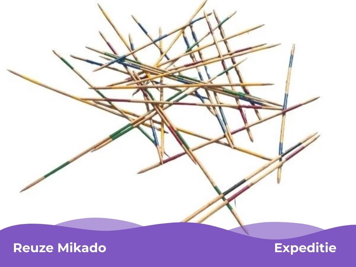 Reuze Mikado Expeditie bij Mix Feestje – Kinderfeestje Westland Reuze mikado spel tijdens een Expeditie Mix Feestje kinderfeestje in Westland